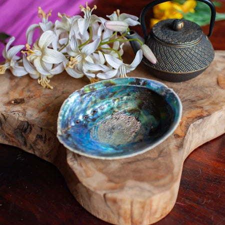 Abalone Schelp, Zo gebruik je dit Inspirerende Instrument