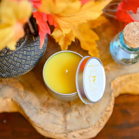 Zonnevlecht Betekenis, Word een Warrior met je Derde Chakra