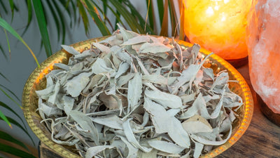 Huis Reinigen met Salie? Zo moet je Smudgen!