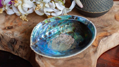 Abalone Schelp, Zo gebruik je dit Inspirerende Instrument