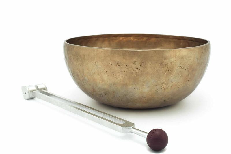 Wat is een Stemvork? Het Therapeutische Gebruik van Trilling