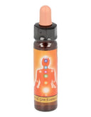 10 ml Sacral chakra - uit Chakra Essences