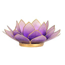 Sfeerlicht Lotus Capiz Violet Goudrand