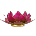 Sfeerlicht Lotus Capiz Schelp Groen Roze Tweekleurig