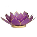 Sfeerlicht Lotus Capiz Lila Goudrand