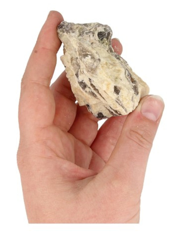 Zebradoriet ruw 80-120 gr.