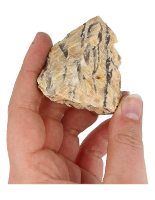 Zebradoriet ruw 50-80 gr.