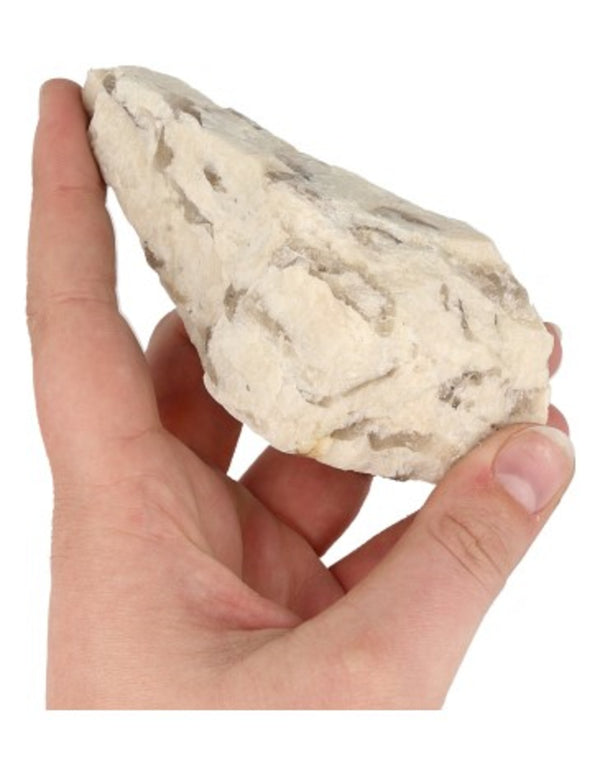 Zebradoriet ruw 200-250 gr.