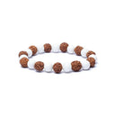 Armband Rudraksha En Schelp Elastisch 0.8 cm