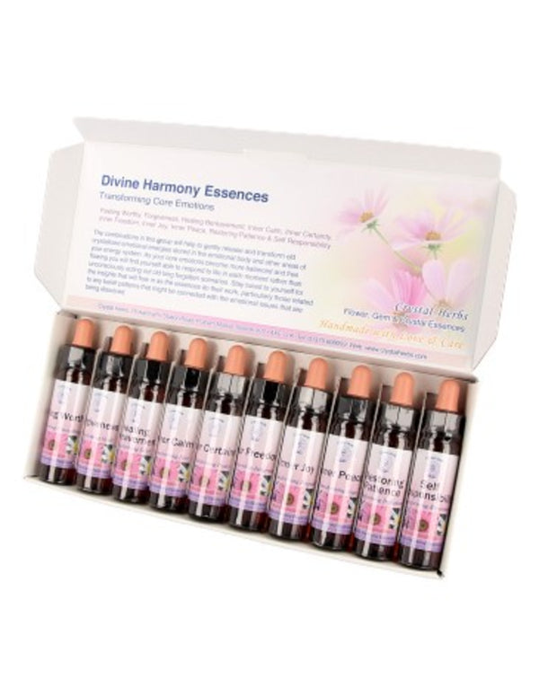 10 ml Inner Certainty - uit Core Emotions Essences