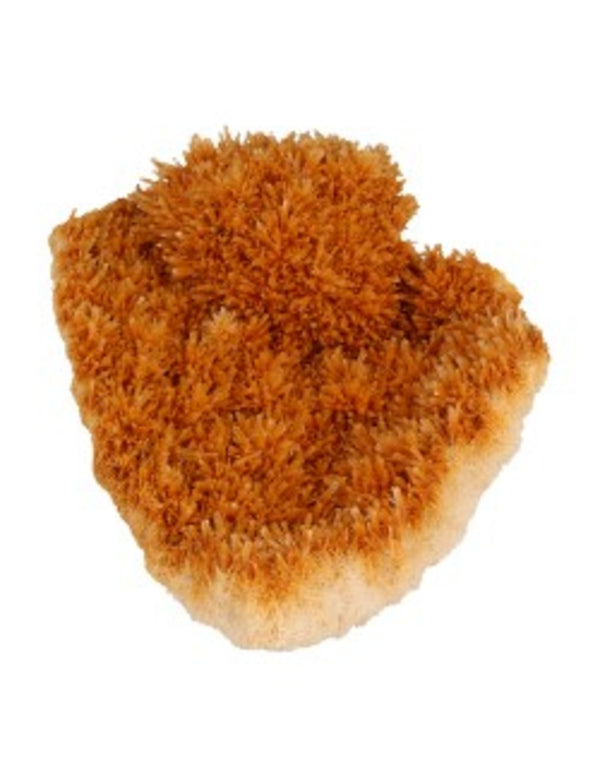 Seleniet oranje gekristalliseerd ruw, p/kg