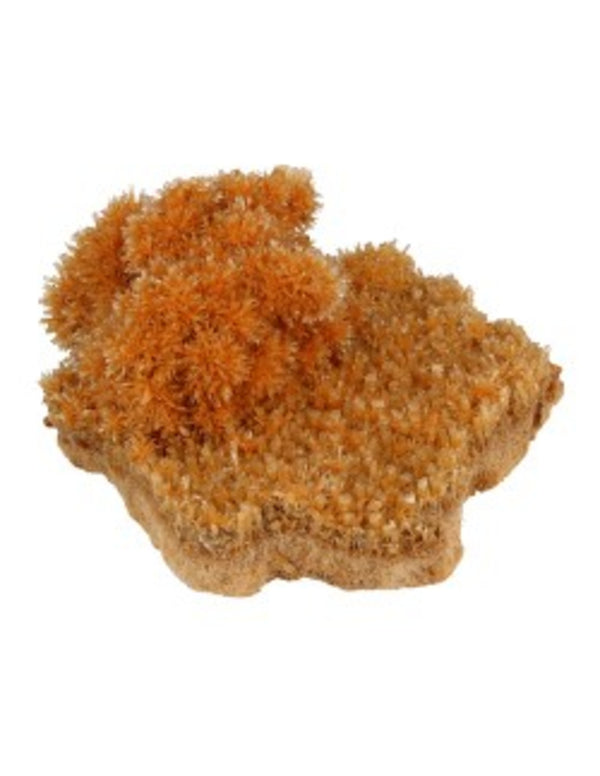 Seleniet oranje gekristalliseerd ruw, p/kg