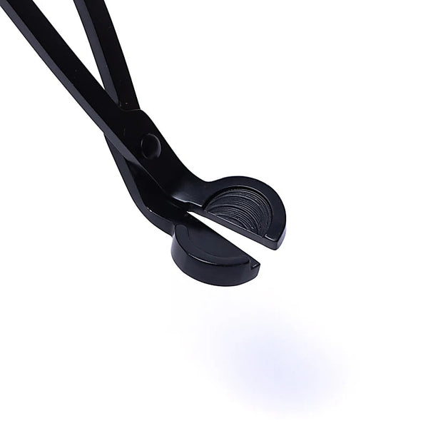 Spiritual maandelijkse box