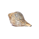 Rituele Trompetschelp Wit ±18 cm