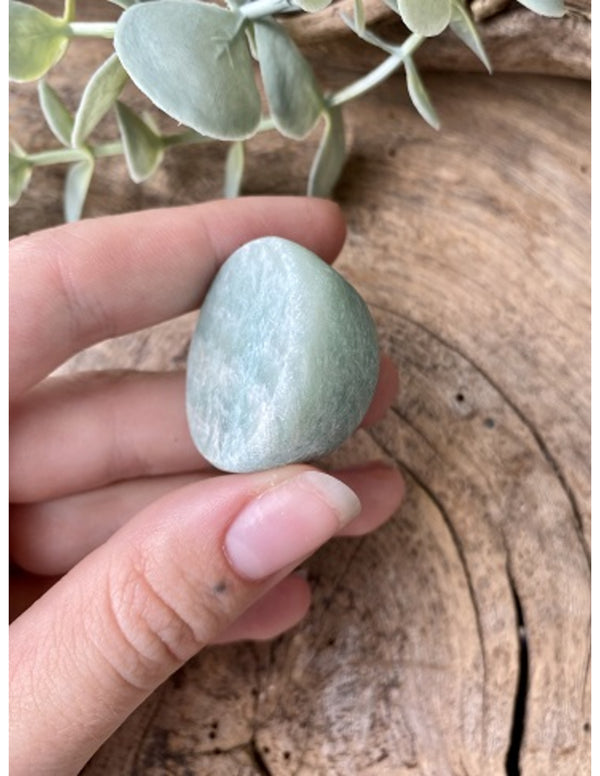 Amazoniet ema egg