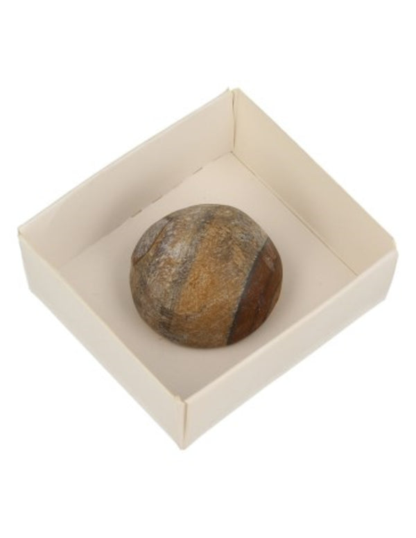 Tijgeroog ema egg
