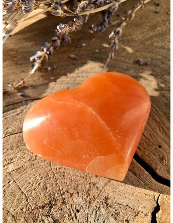 Seleniet hart groot oranje