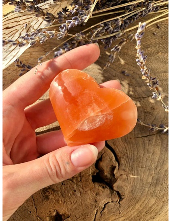 Seleniet hart groot oranje