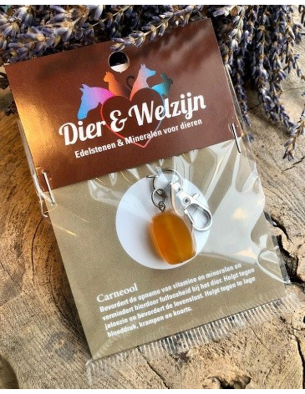 Carneool halsband hanger Dier & Welzijn
