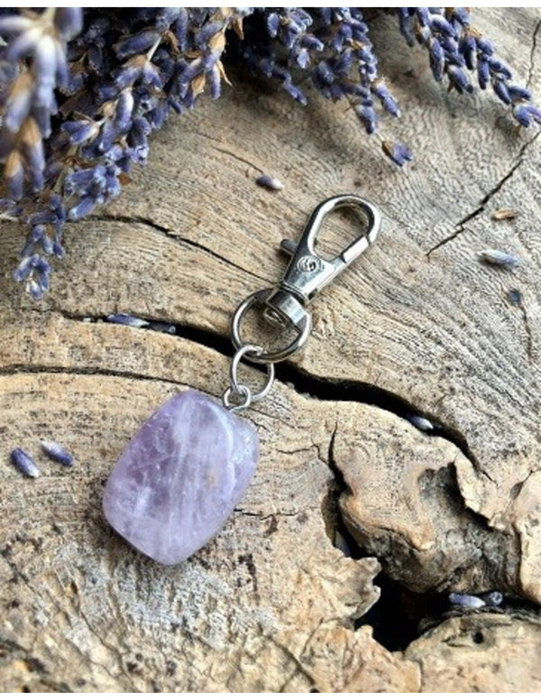 Amethist halsband hanger Dier & Welzijn