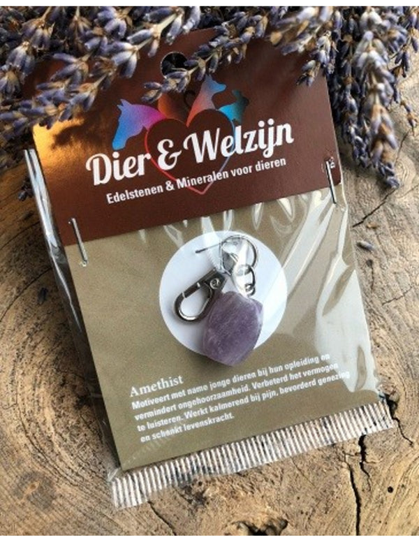 Amethist halsband hanger Dier & Welzijn