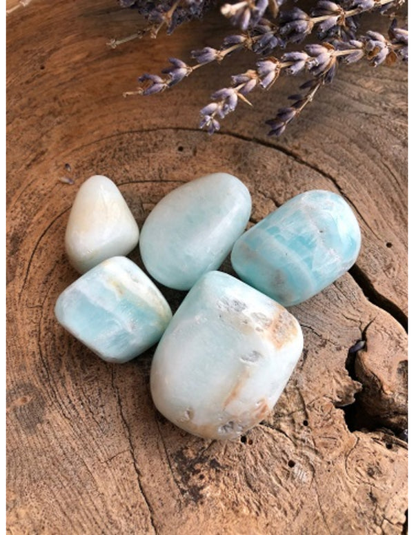 Calciet Caribbean blue 500 gr. trommelstenen (mt3)