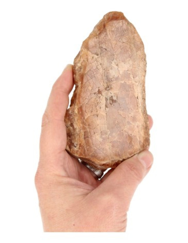 Hessoniet plakje nr.1