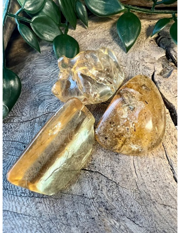 Copal gepolijst 10-14 gram