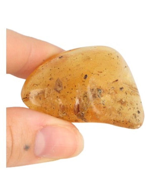 Copal gepolijst 10-14 gram