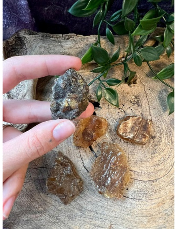 Copal halfruw trommelsteen 1 st. 3-5 cm