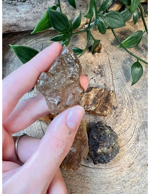 Copal halfruw trommelsteen 1 st. 3-5 cm