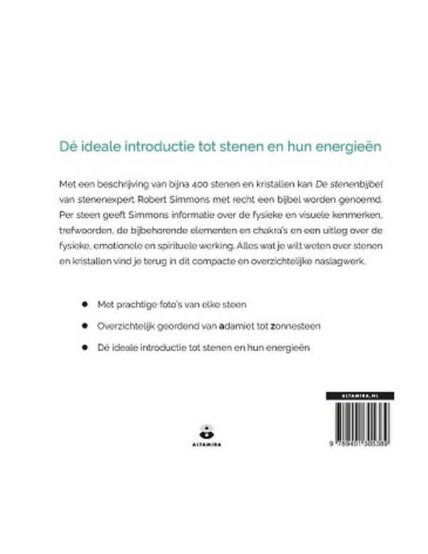Boek: De Stenenbijbel