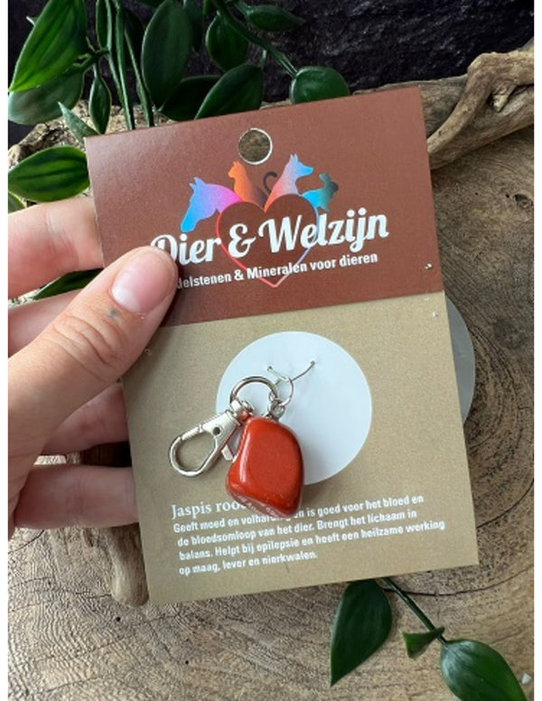 Dier & Welzijn halsband hanger Jaspis rood