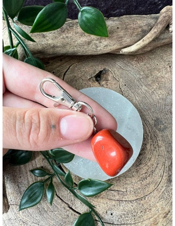 Dier & Welzijn halsband hanger Jaspis rood