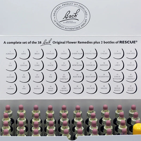 Spiritual maandelijkse box