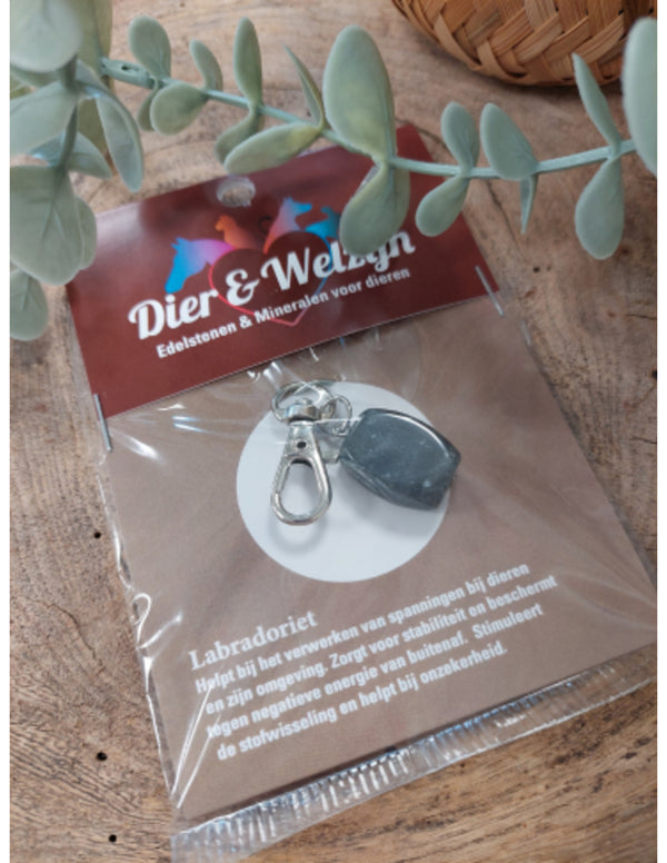 Dier & Welzijn halsband hanger Labradoriet