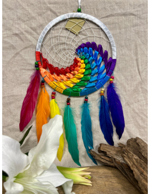 Dromenvanger wave regenboog / wit 22 cm