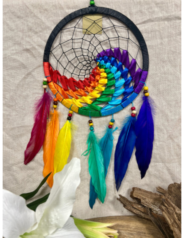 Dromenvanger wave regenboog / zwart 22 cm