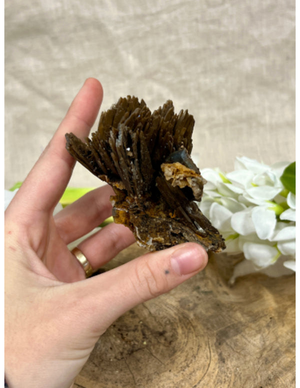 Bariet blauw / honing A ruw nr. 05