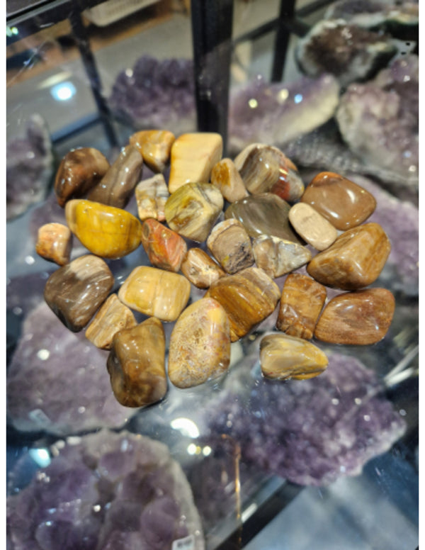 Versteend hout trommelstenen 250 gr. (mt3)