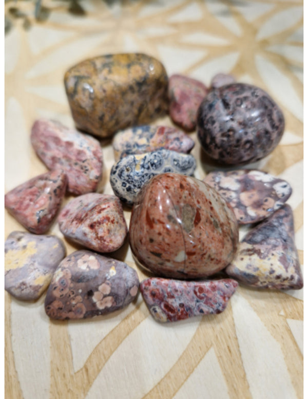 Jaspis luipaard 100 gr. trommelstenen (mt2-3)