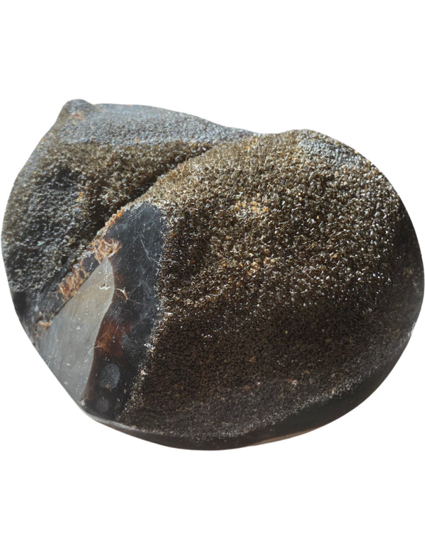 Septarie wild hart nr.04