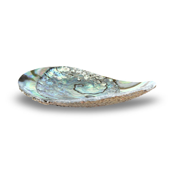 Sieradenschaaltje Abalone 10 cm