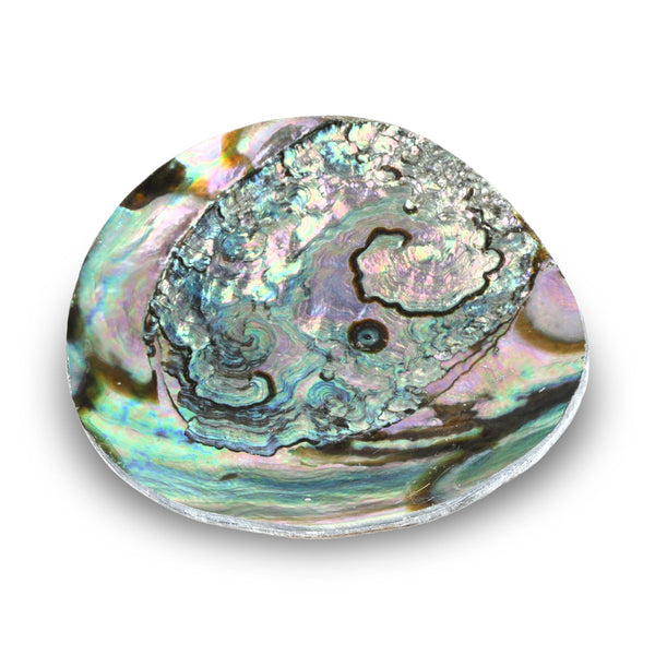 Sieradenschaaltje Abalone 10 cm