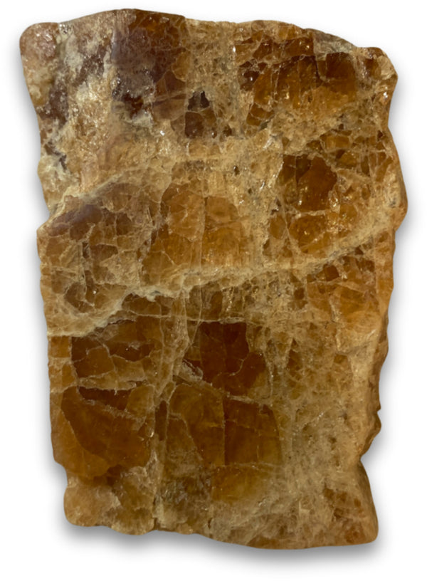 Hessoniet plakje nr.06