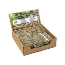 Witte Salie Smudge Met Rozemarijn Per 24 In Display ±10–11 cm ±25–35 g