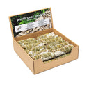 Smudge Stick Witte Salie Met Jeneverbes S Per 24 In Display 11 X 3.5 Cm 30~40 G