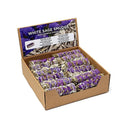 Witte Salie Smudge Met Paarse Sinuata Per 24 In Display ±11×3,5 cm