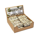 Witte Salie Smudge Met Witte Sinuata Per 24 In Display ±11×3,5 cm
