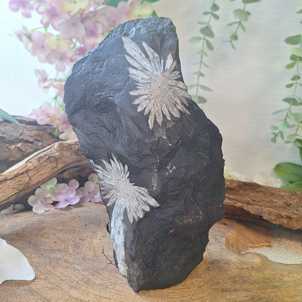 Chrysantensteen sculptuur nr.05